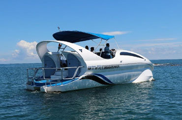 DOLPHIN BOAT IN ANDAMAN