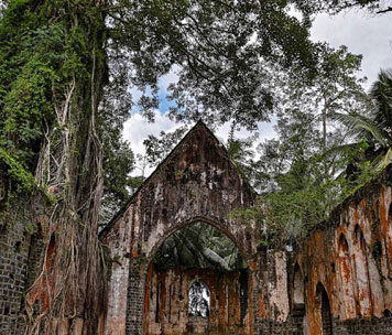 Andaman Deluxe Tour Packages