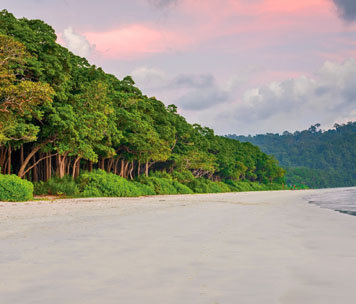 Andaman Deluxe Tour Packages