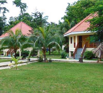 Dolphin Resort